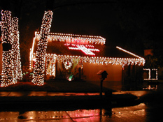 Turtle Creek Christmas 2002 16 copy.jpg (45495 bytes)