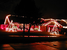 Turtle Creek Christmas 2002 23 copy.jpg (37926 bytes)