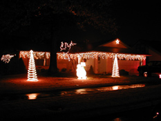 Turtle Creek Christmas 2002 copy.jpg (30902 bytes)