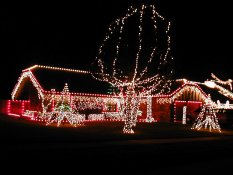 tC Christmas 2003-23.JPG (10718 bytes)